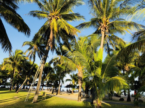 Lüks severlerin Afrika macerası: Mauritius